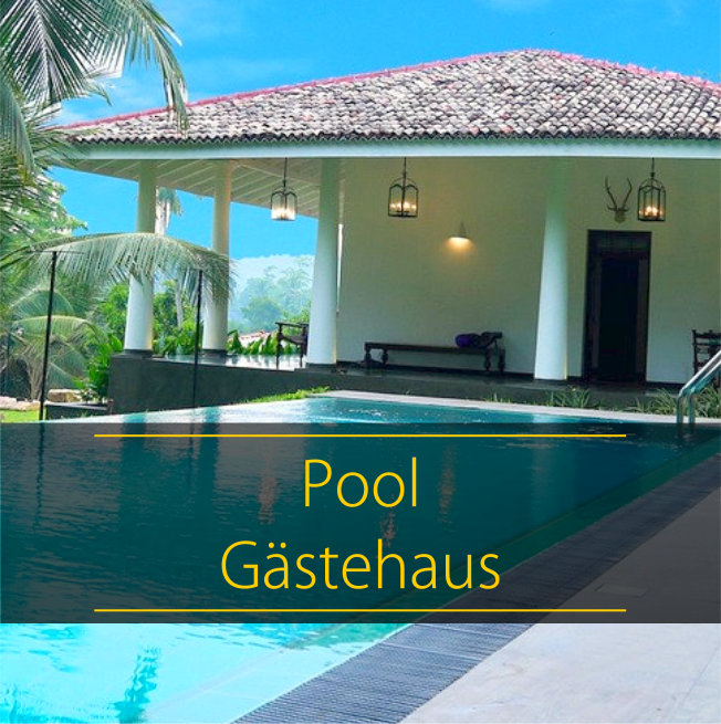 Pool I Gästehaus I Massiv-Gartenhaus